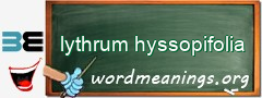 WordMeaning blackboard for lythrum hyssopifolia